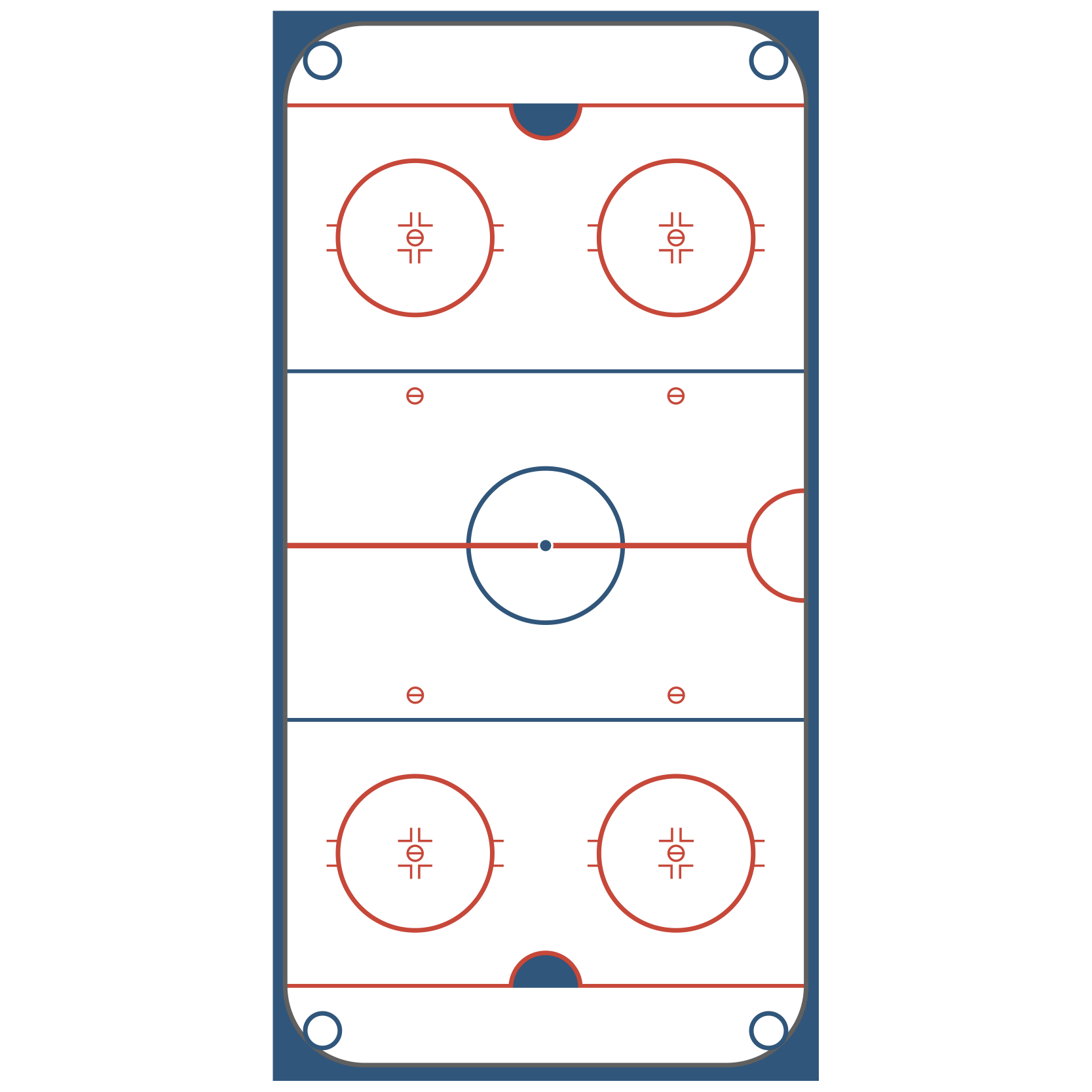 Hockey Rink 4'x8'