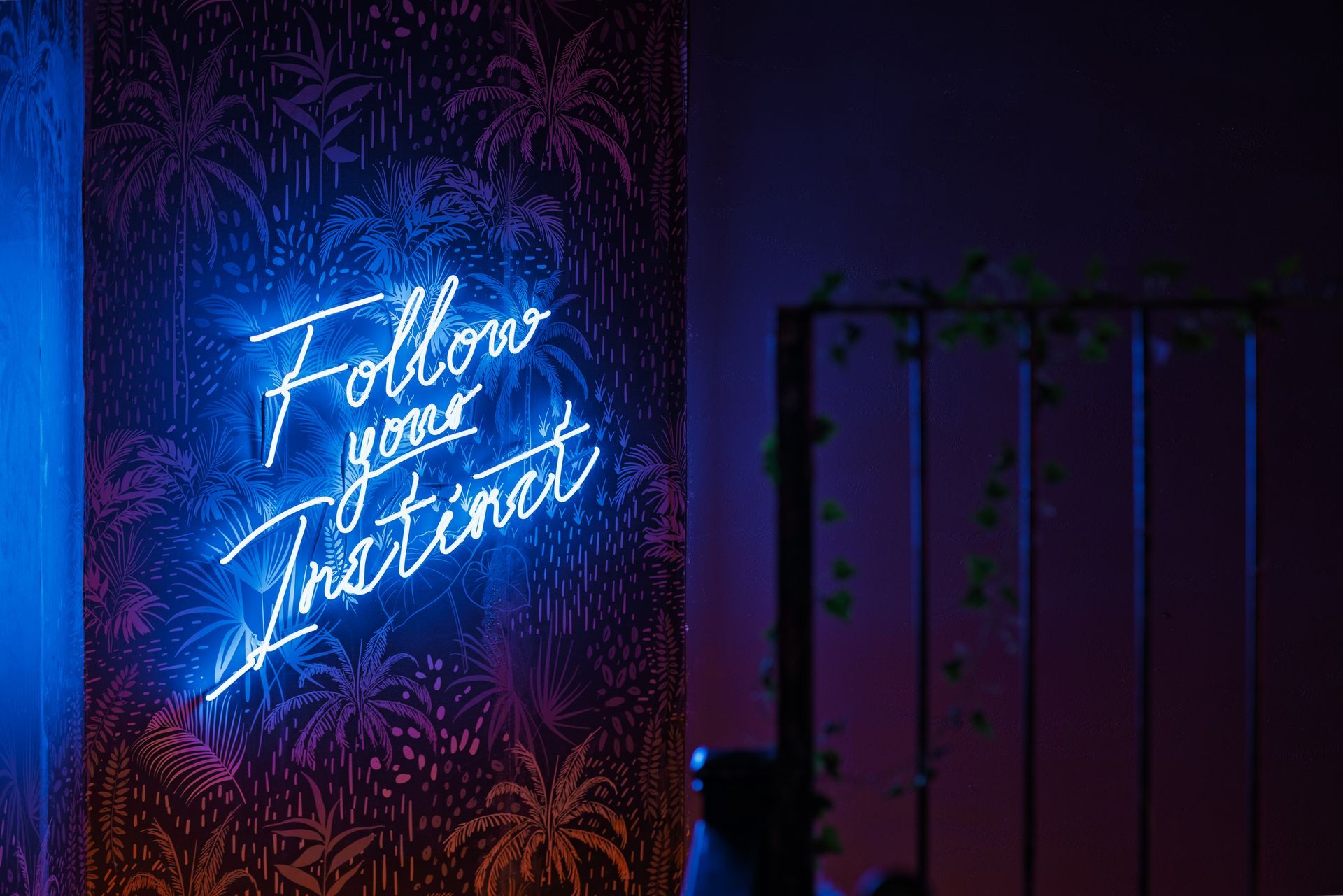 A neon sign on a wall that says `` follow your instinct ''.