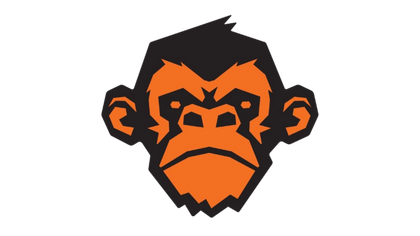 A black and orange monkey with a beard on a white background.