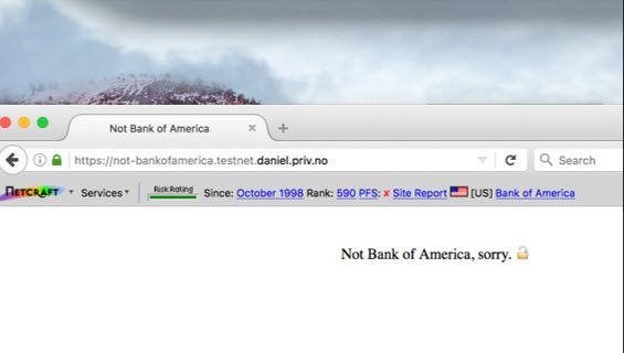 A computer screen shows the website for not bank of america