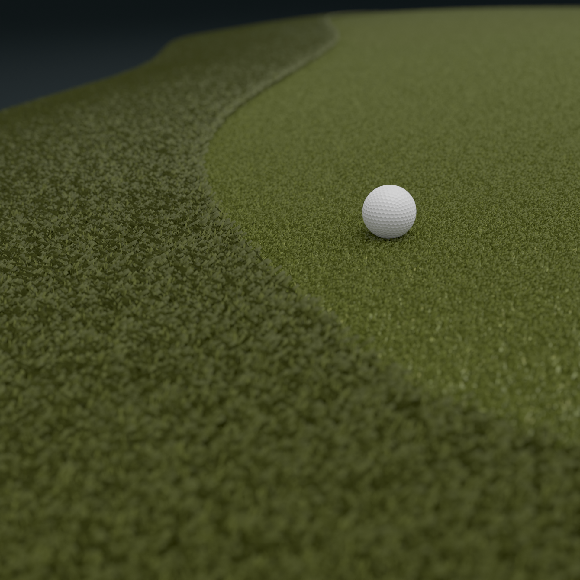Golf ball on green, short-cut grass near longer rough.