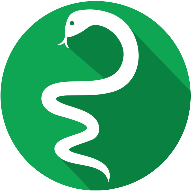 python, tečaj programiranja za otroke