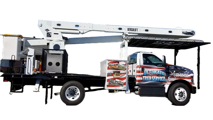 A white truck with an american flag painted on the side is parked on a white background.