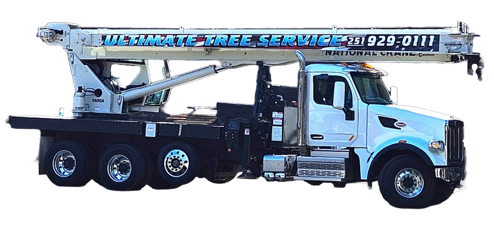 A ultimate tree service truck with a crane on top of it