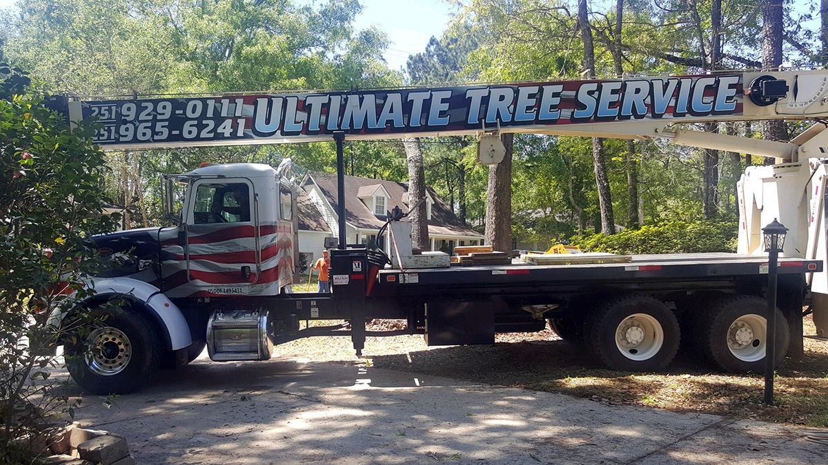 A man is cutting a tree trunk with a chainsaw.