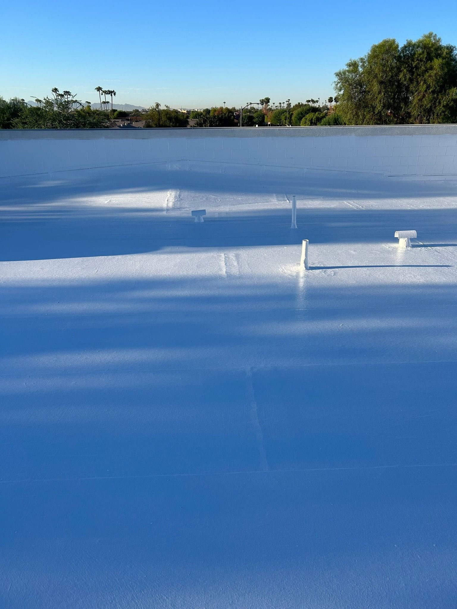 A blue roof with a few trees in the background