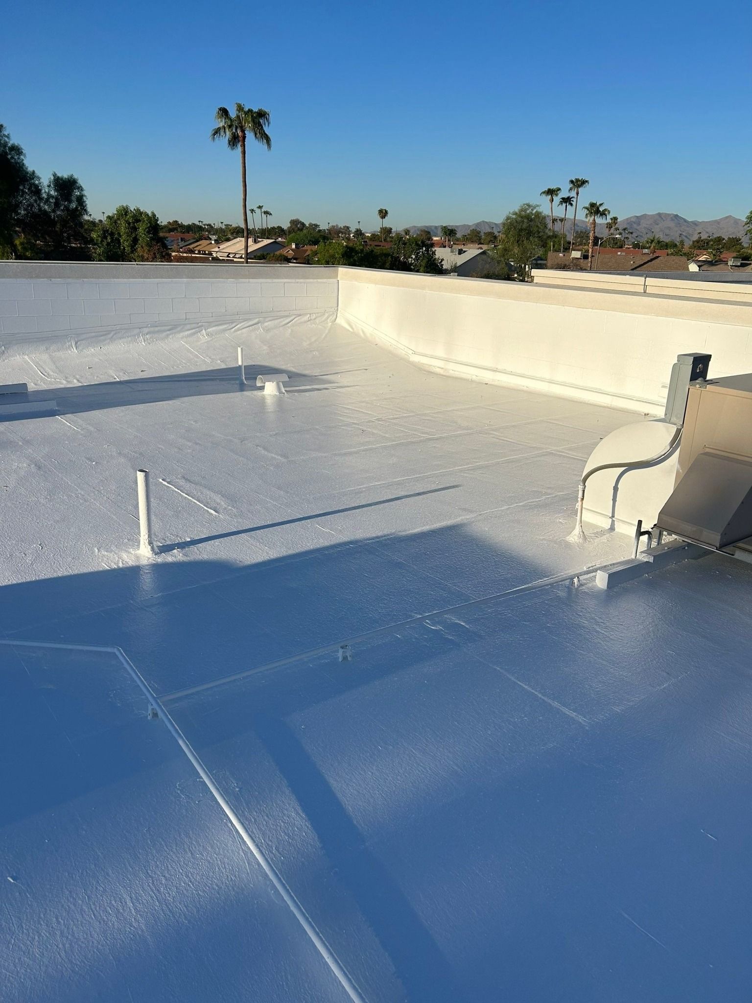 A white roof with a palm tree in the background