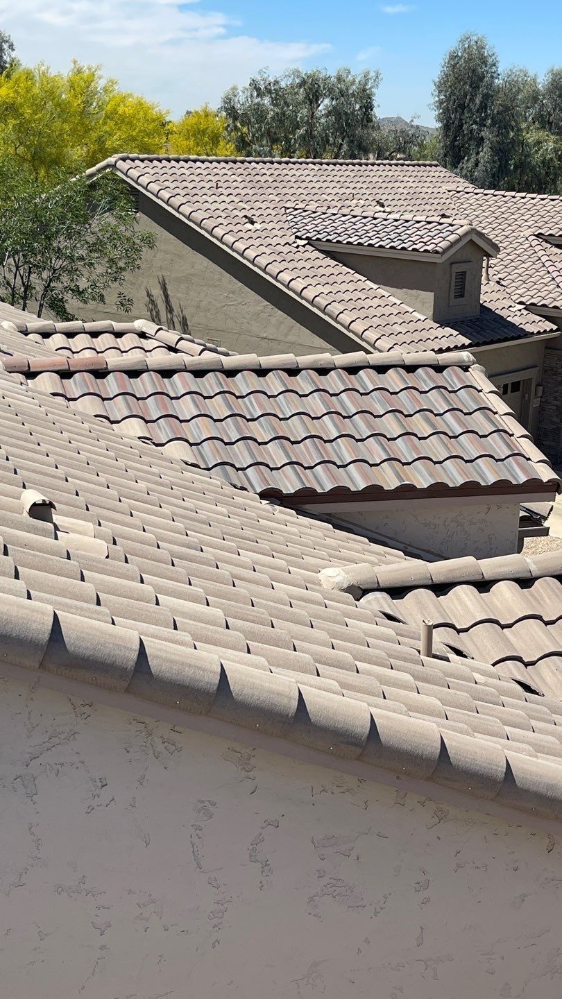 A close up of a tiled roof of a house with trees in the background.