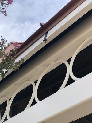 A bird is perched on the roof of a building
