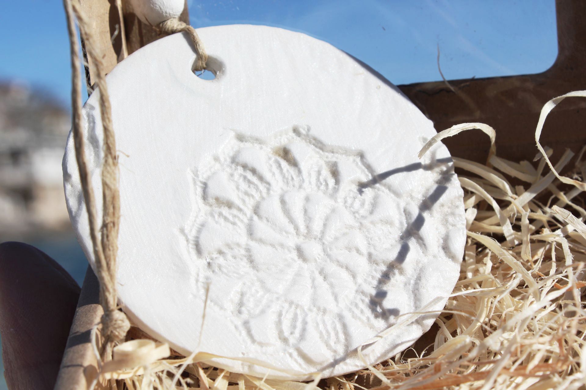 A person is holding a sand dollar in their hand.