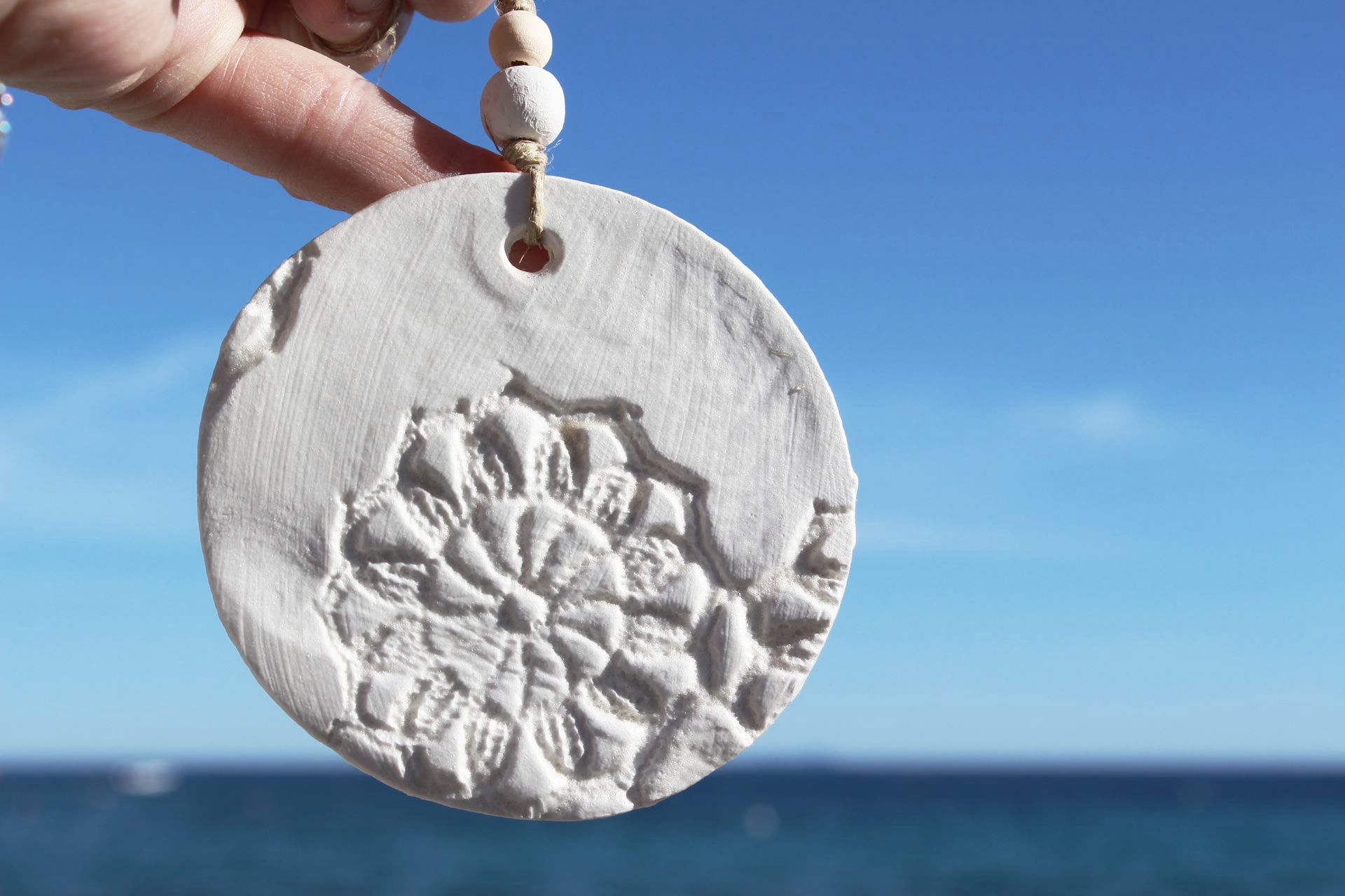 A person is holding a sand dollar in front of the ocean
