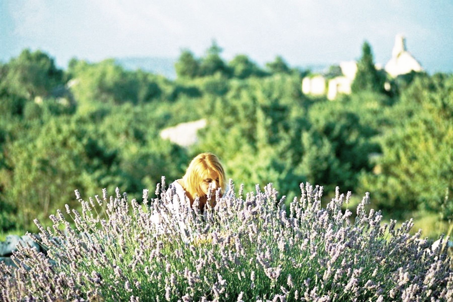 A woman is sitting in a field of lavender flowers.