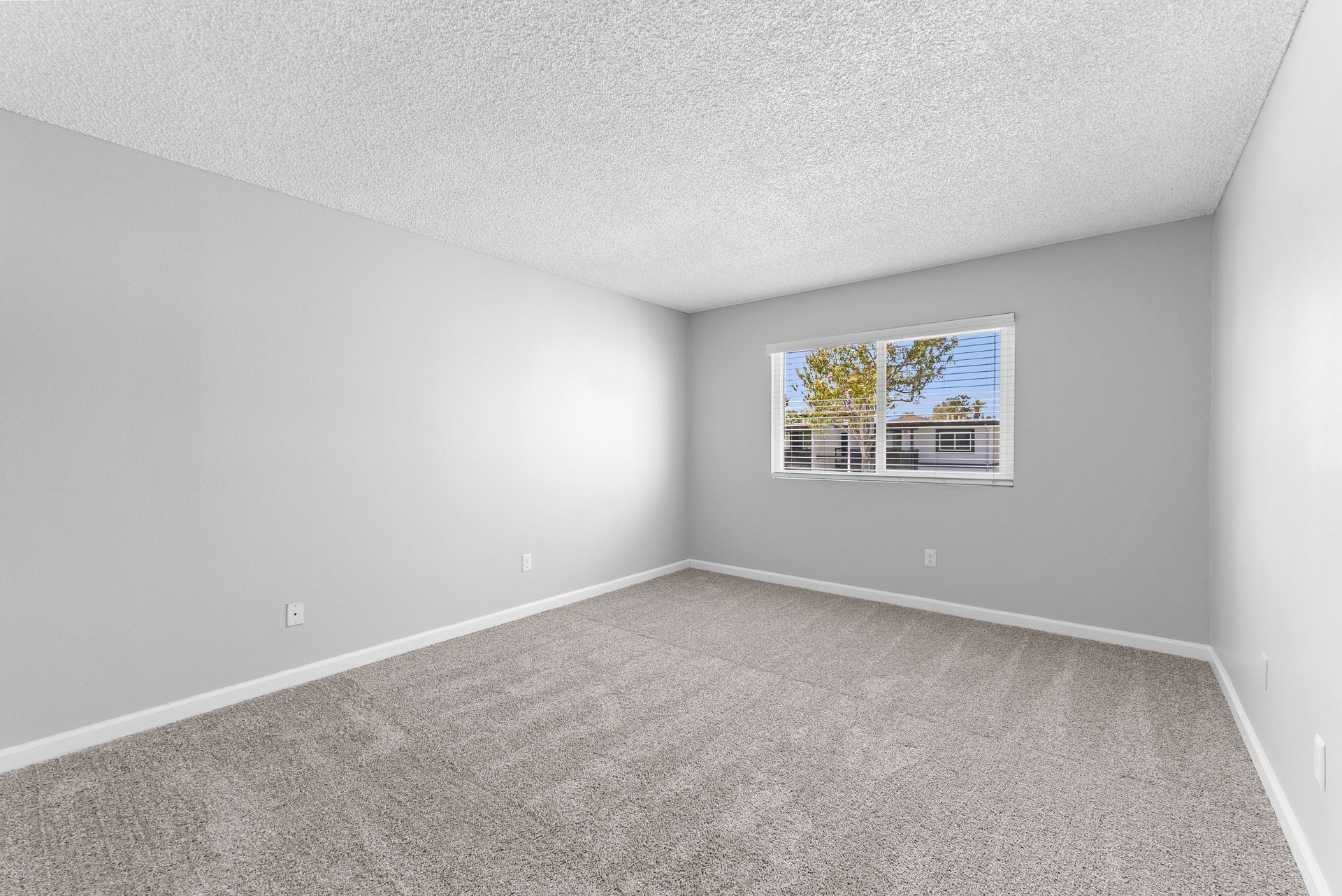 An empty room with a window and a carpeted floor.