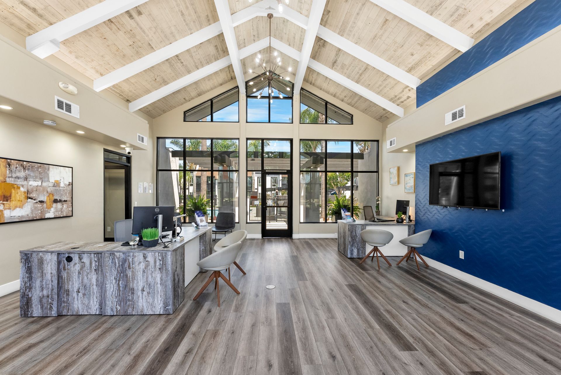 A large offic with a lot of windows and a blue wall.