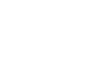 A white background with a few lines on it