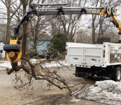 Tree Cutting — Tree Service Vehicle in Madison, WI Tree Cutting — Tree Service Vehicle in Madison, WI