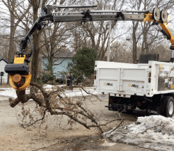 Tree Cutting — Tree Service Vehicle in Madison, WI