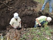 Hillcrest/Upland Greenway Project — Madison, WI — Stephenson Tree Care P