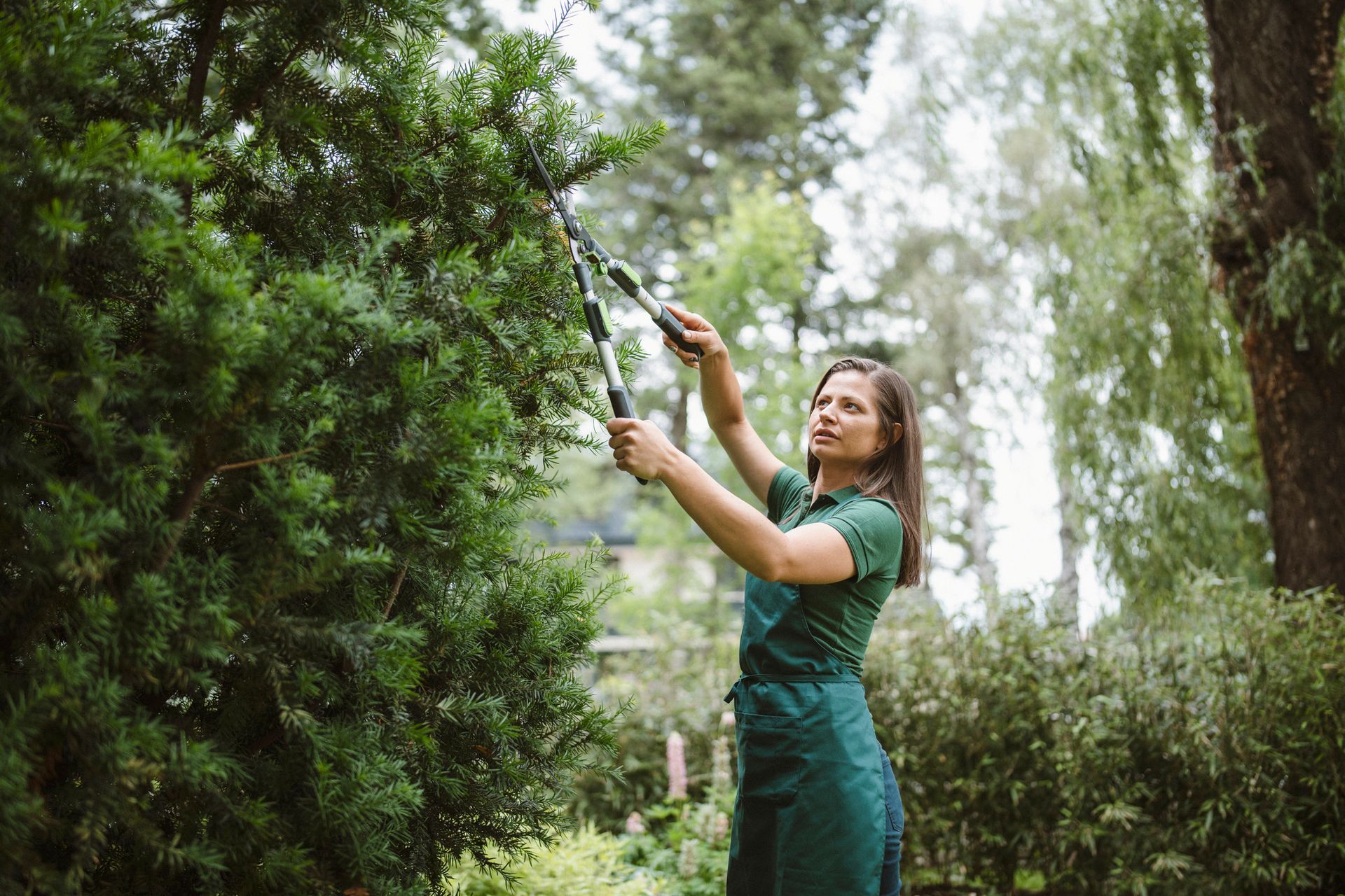 A woman in a green shirt carefully pruning a tree, showcasing a tree pruning service in action.