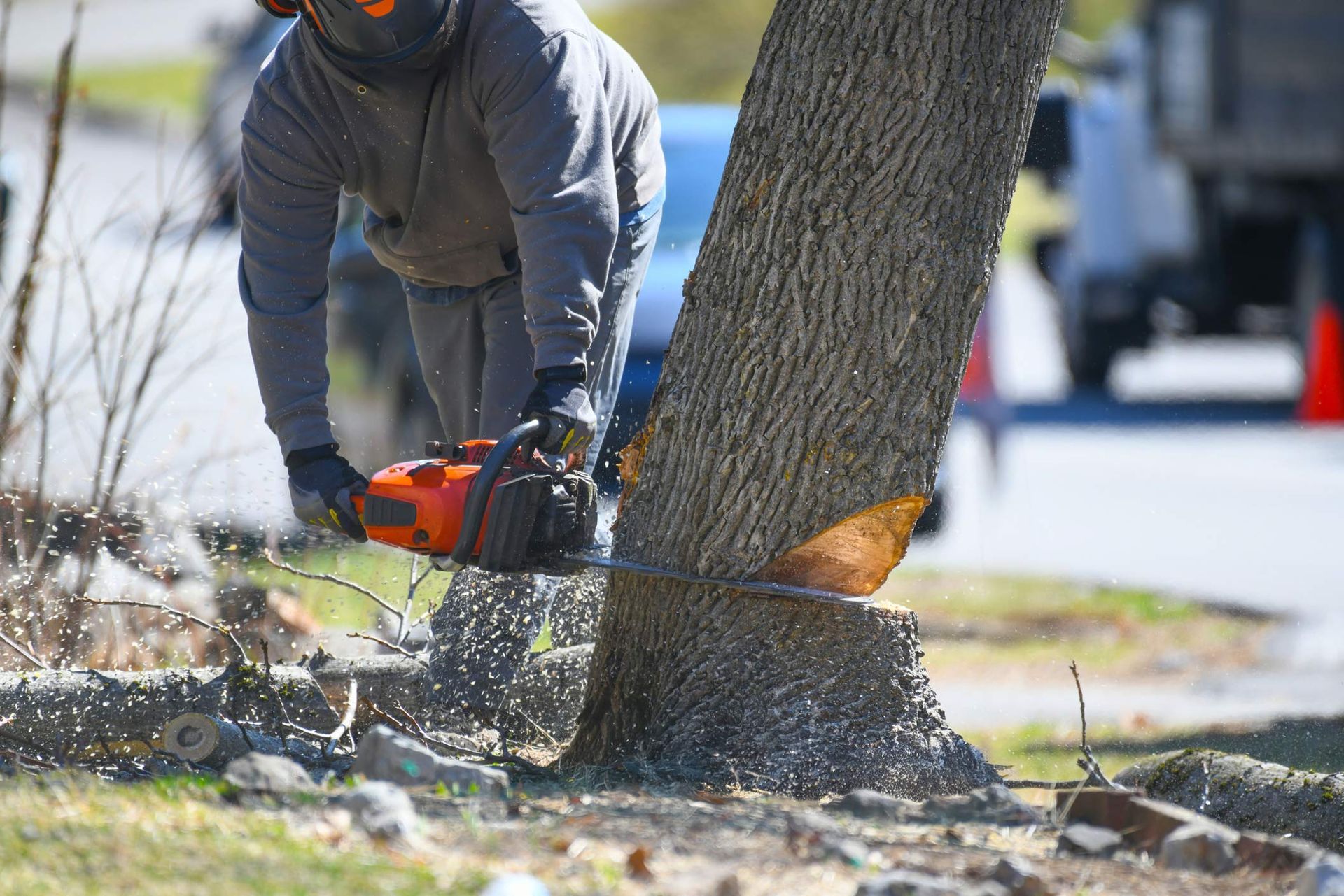 Worker sawing the tree trunk for tree removal. Worker sawing the tree trunk for tree removal.