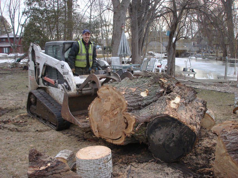 Oversized Trunk Removal — Madison, WI — Stephenson Tree Care