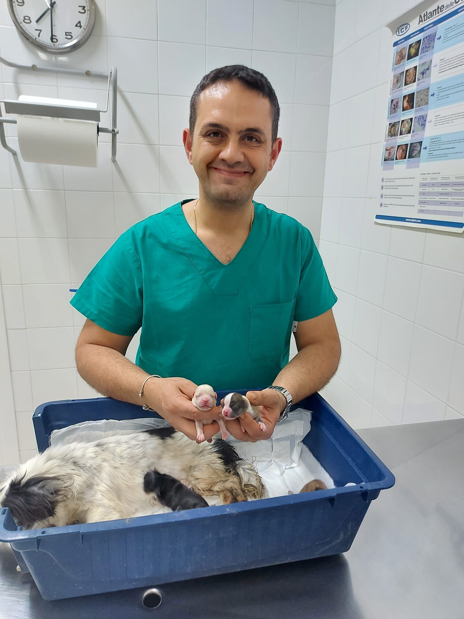 ambulatorio veterinario