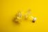 A broken plastic bottle on a yellow background Pinellas Family Junk Removal.
