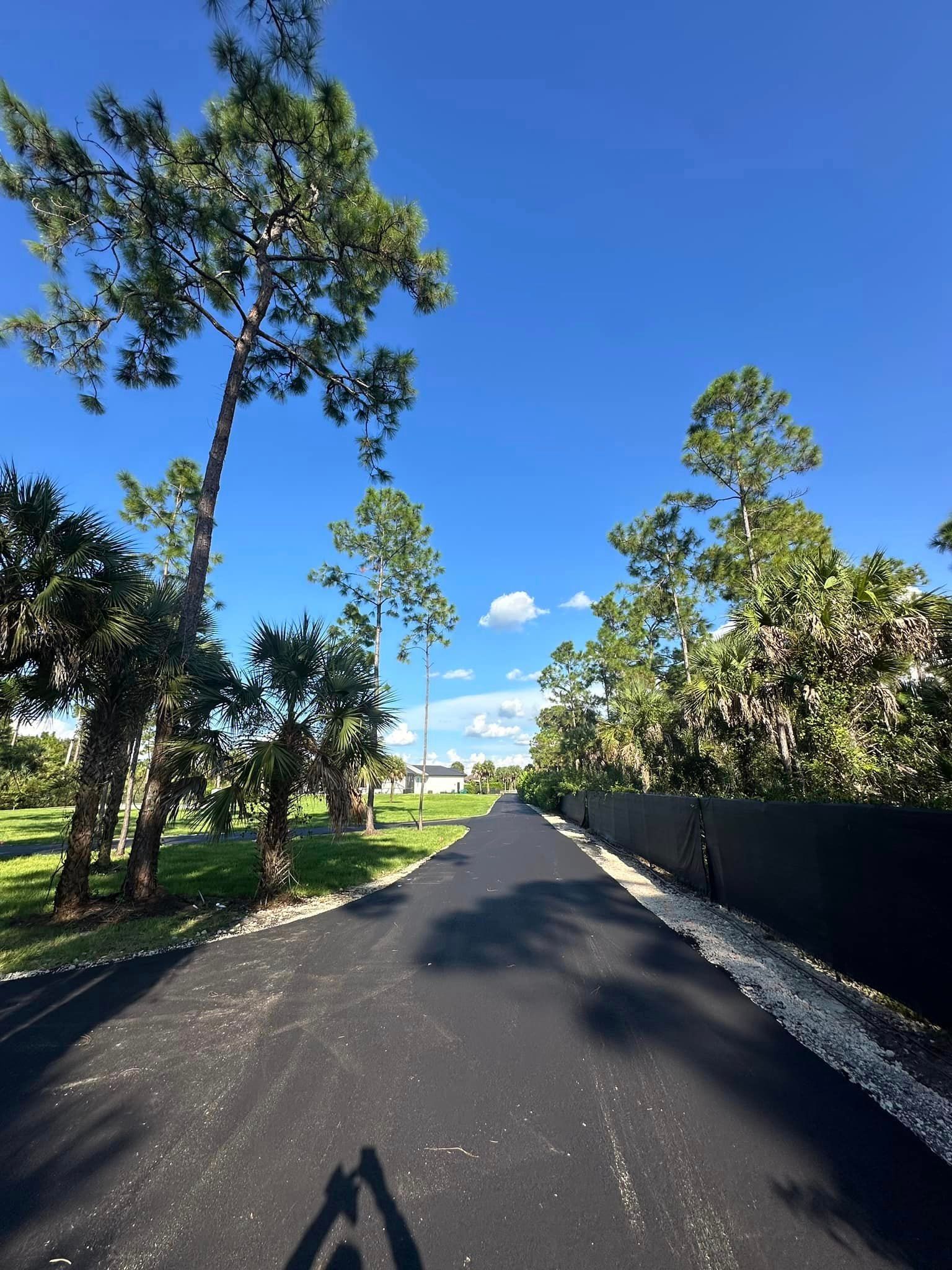 Road With Trees On Both Sides - Naples, FL - Apex Asphalt & Seal Coating