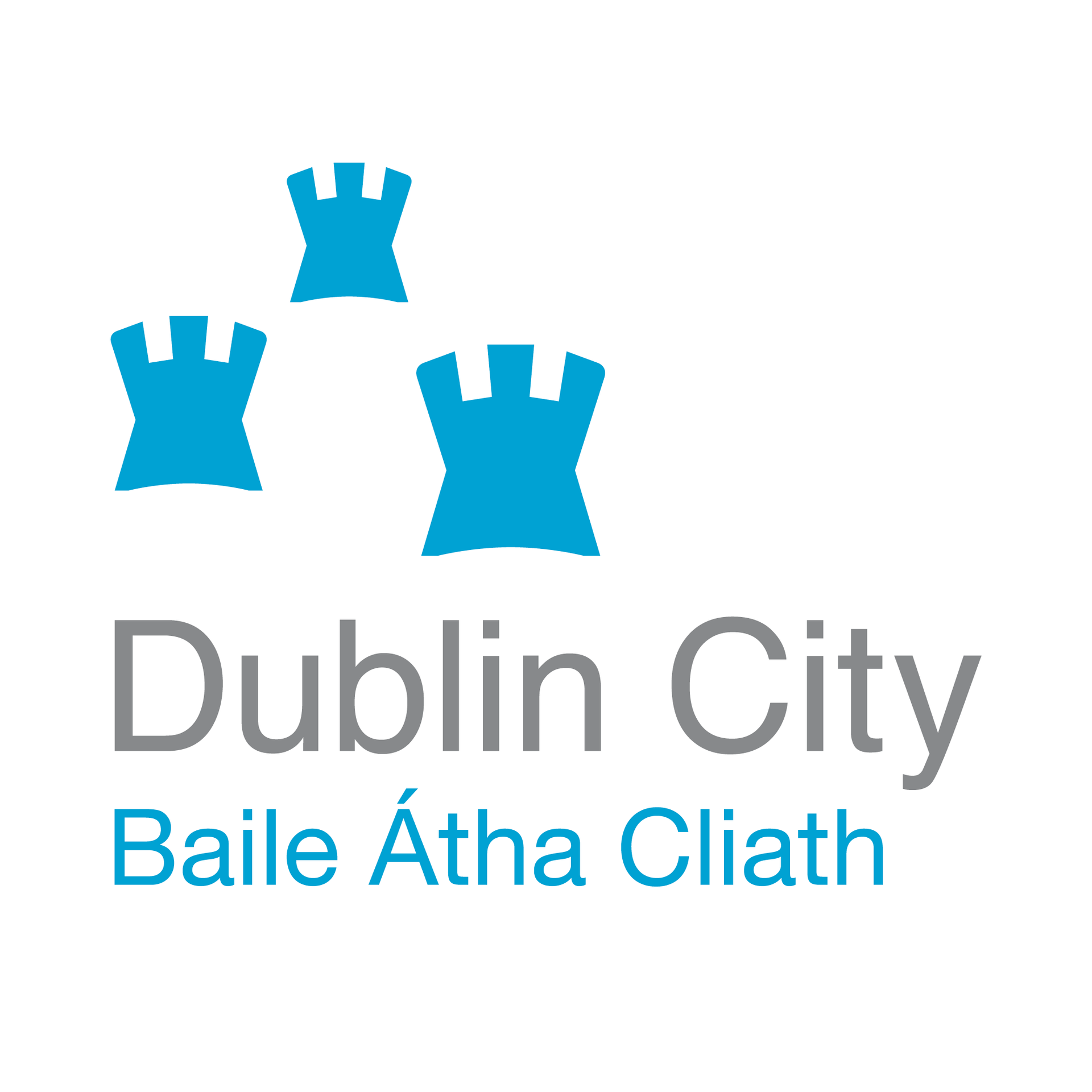 Dublin City Logo