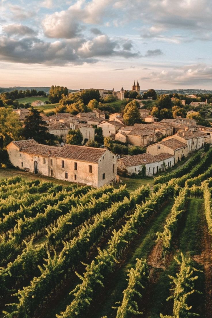 Vineyard rows in Bordeaux with rolling hills and sunlight shining over the grapevines, ideal for wine lovers.