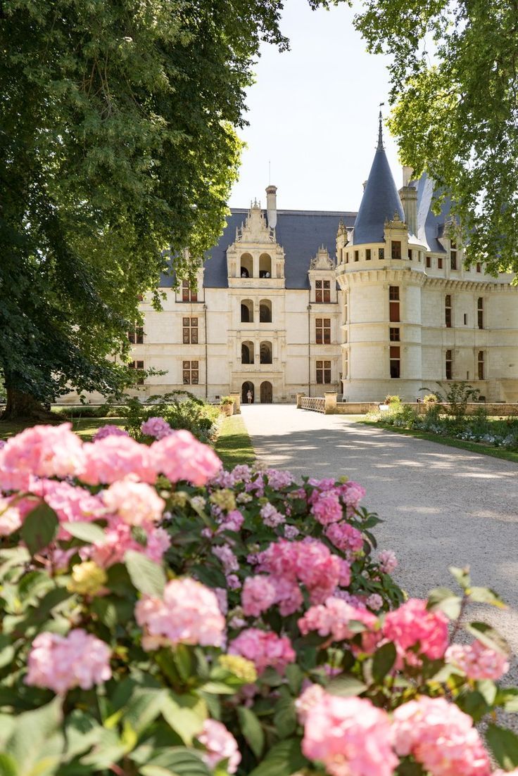 Charming Château in the Loire Valley, framed by blooming pink flowers, showcasing Renaissance architecture.
