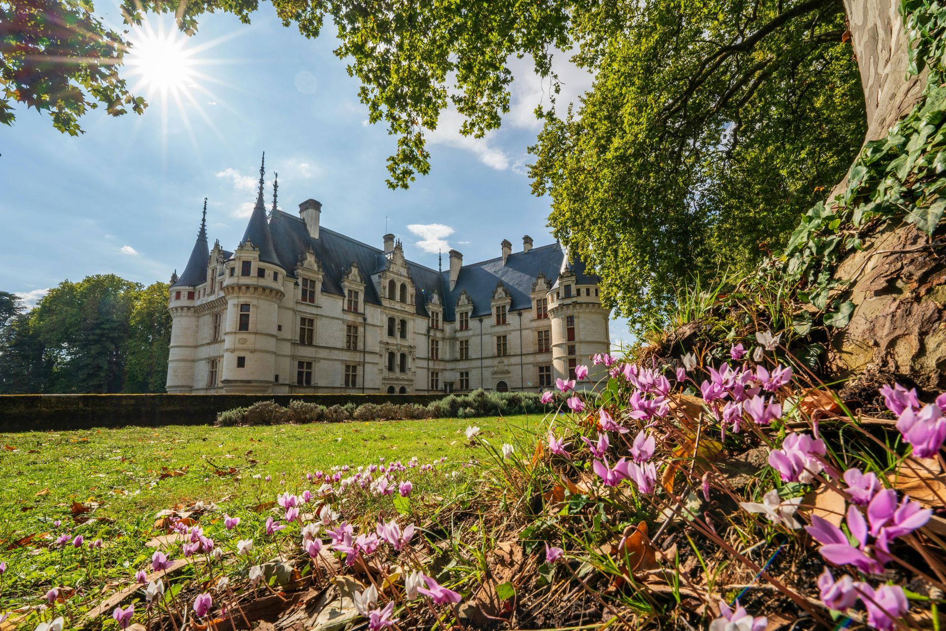A stunning château in the Loire Valley, showcasing French Renaissance architecture and historic gardens.