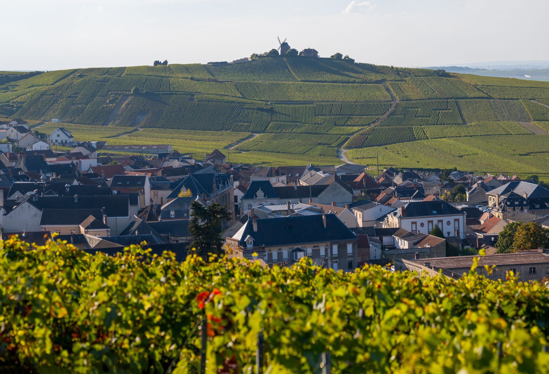 Scenic view of a historic church surrounded by lush vineyards in the Champagne region of France.