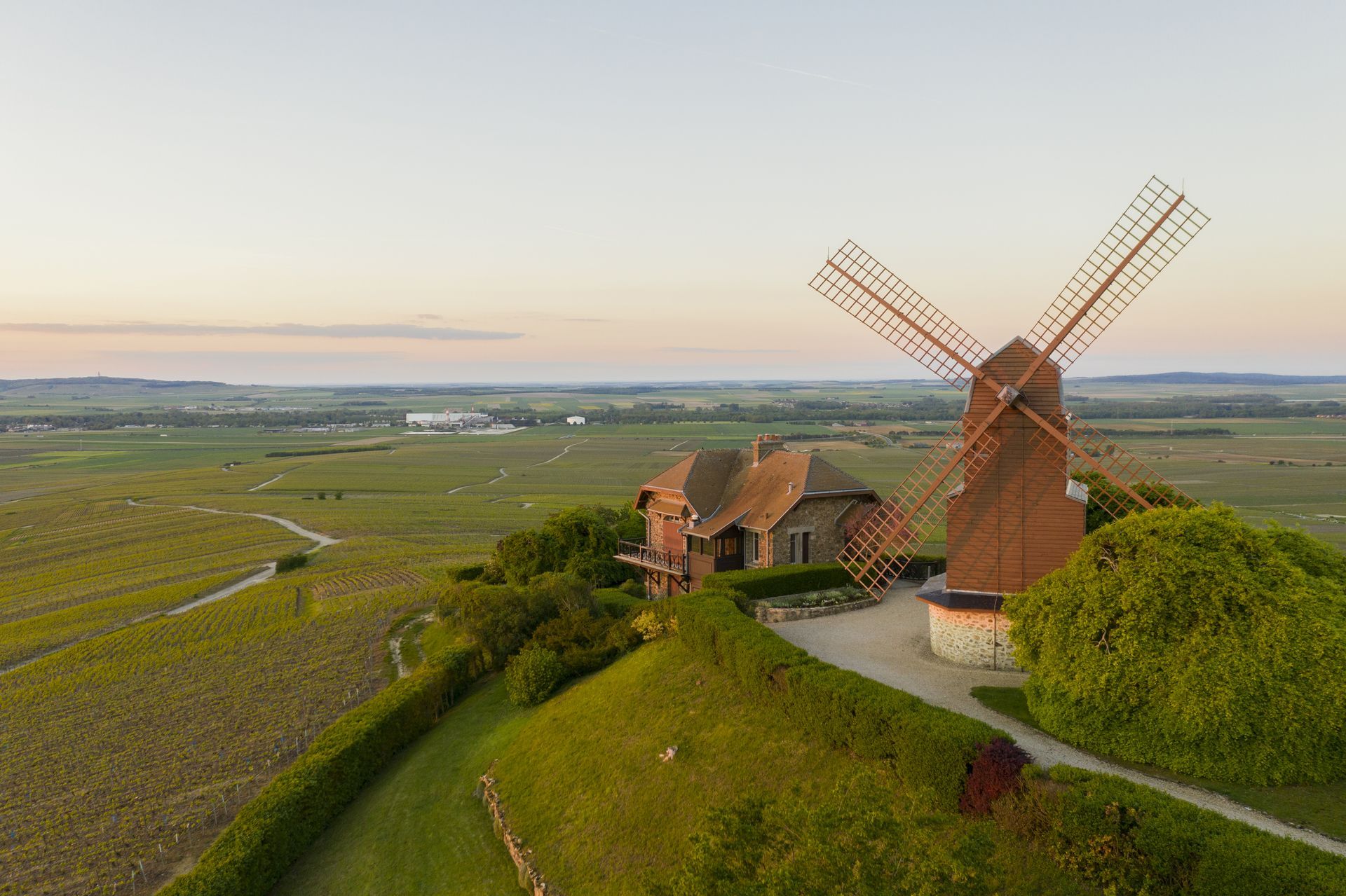 Traditional windmill amid golden vineyards in the Champagne region of France during harvest season