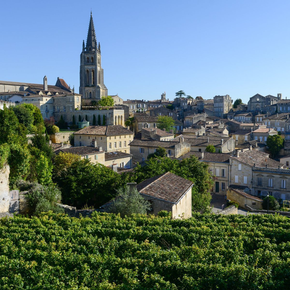 Panoramic view of Saint-Émilion, a UNESCO-listed medieval village in the Bordeaux wine region, France