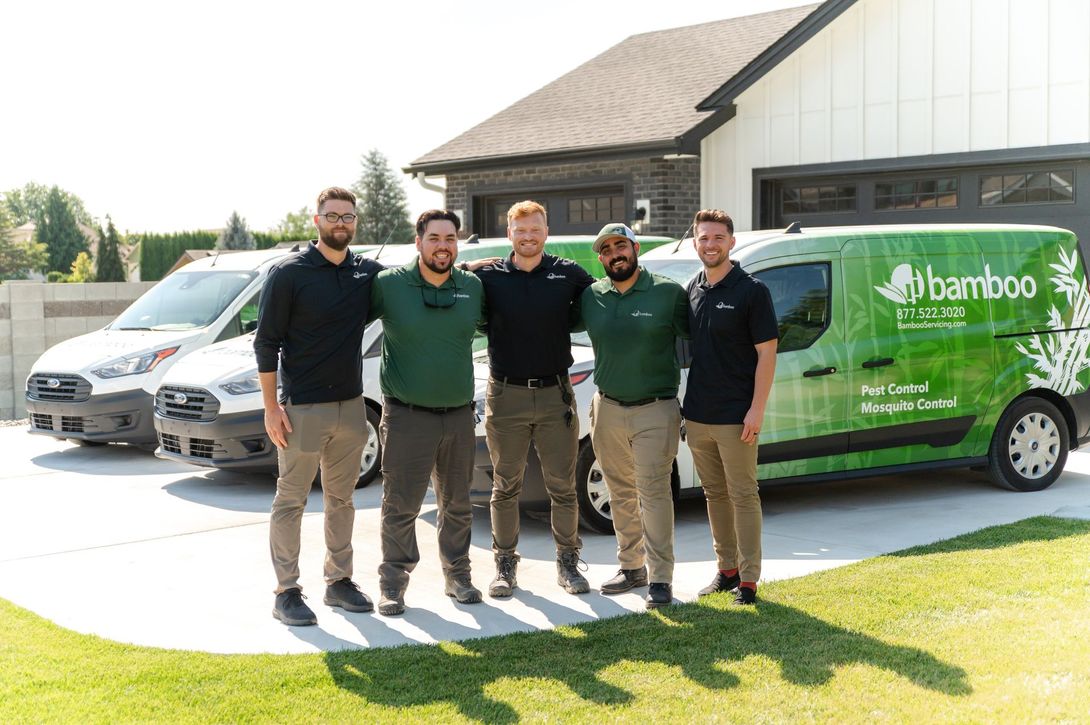 pest control in seattle wa