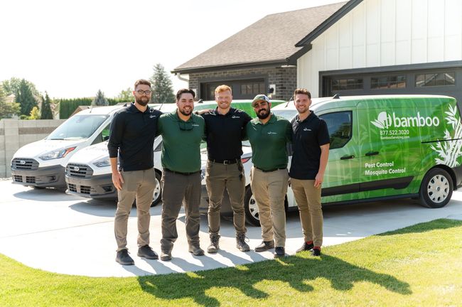 local pest control service