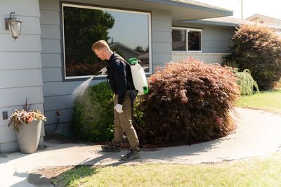 mosquito control service