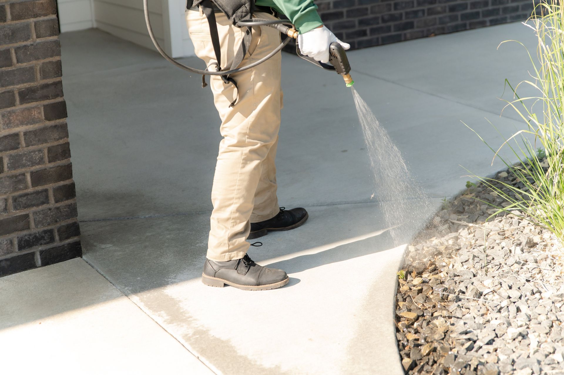 spider control bothell