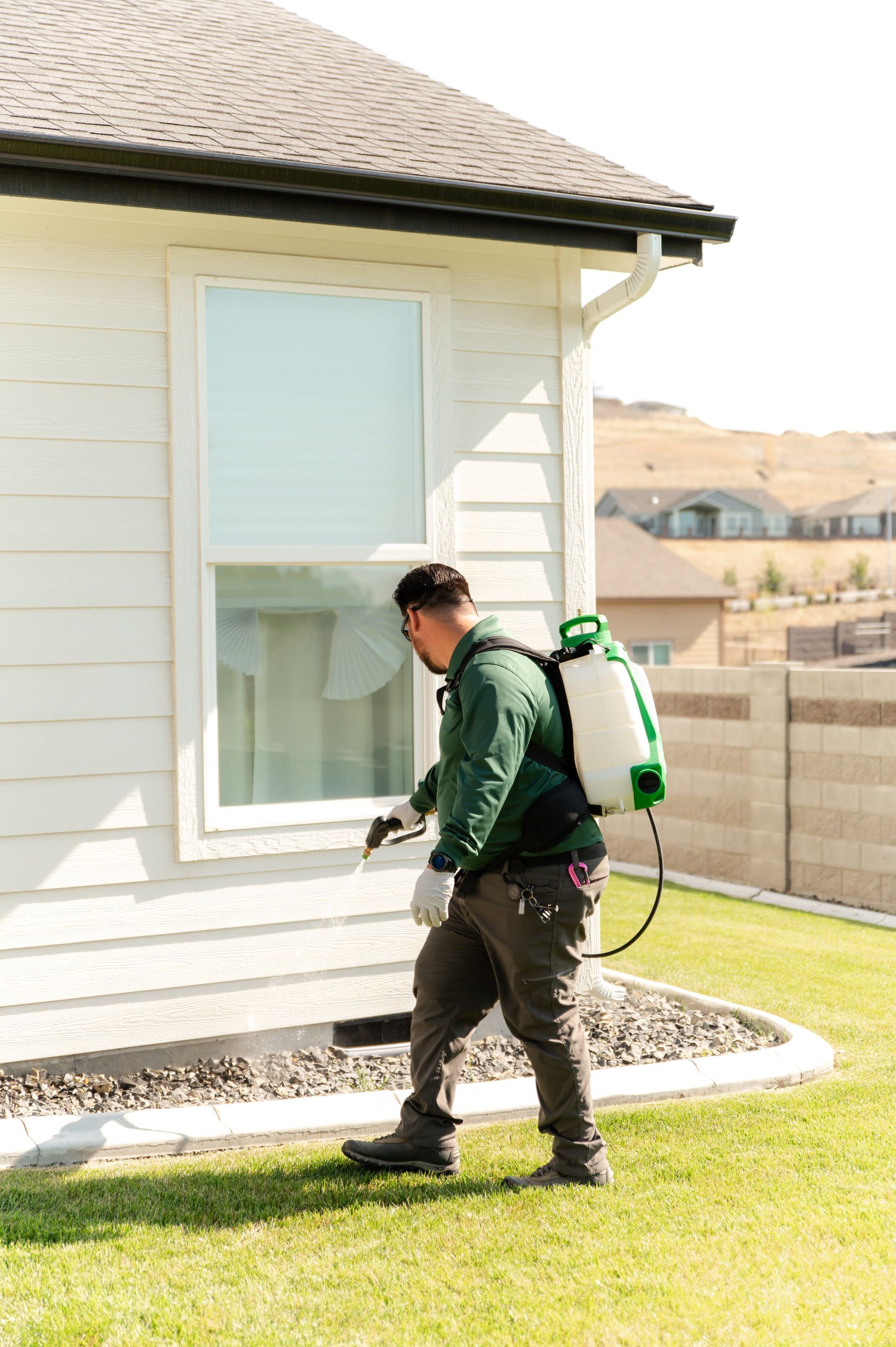 eliminate pests in newcastle