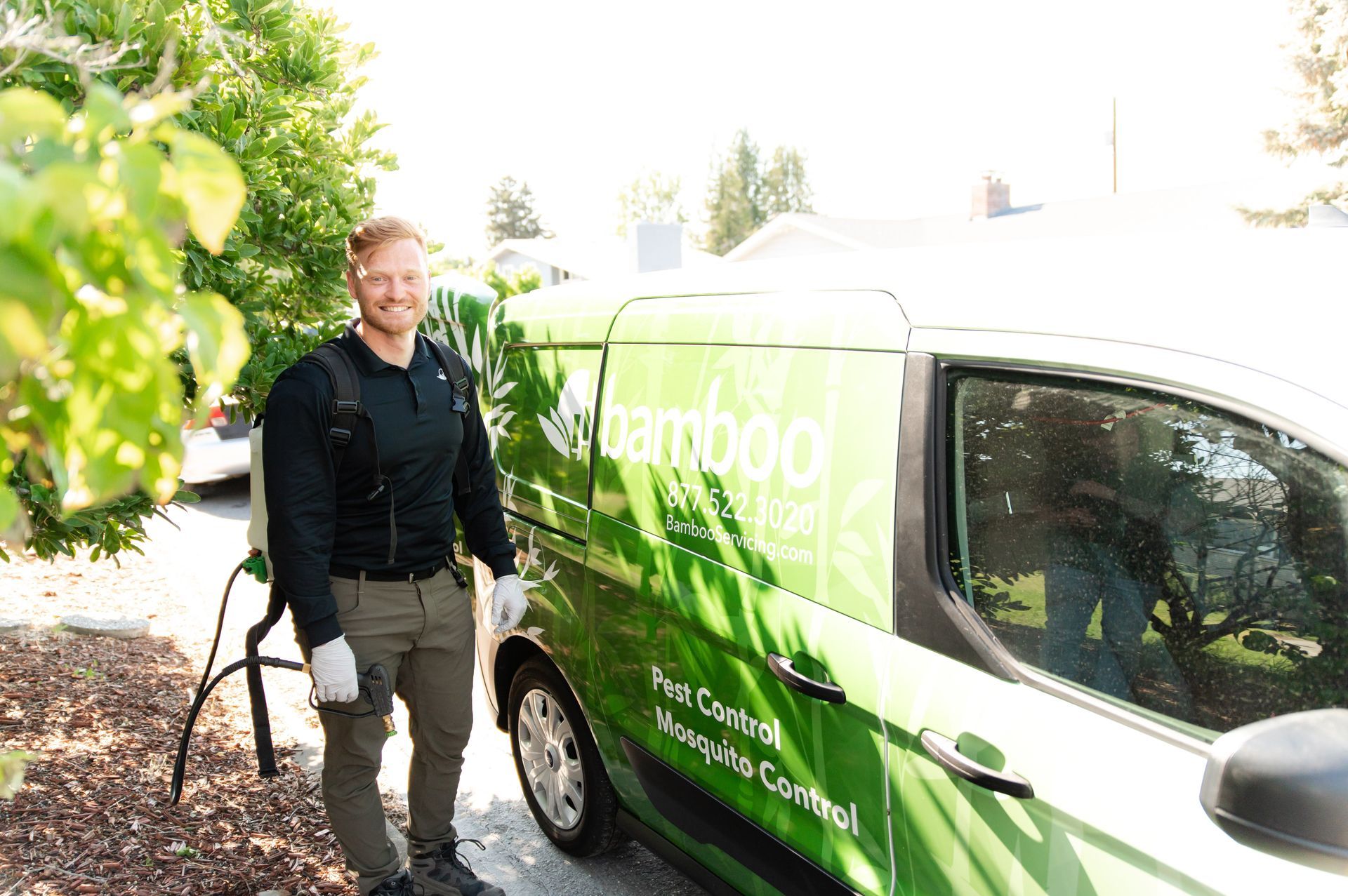 pest control in redmond wa