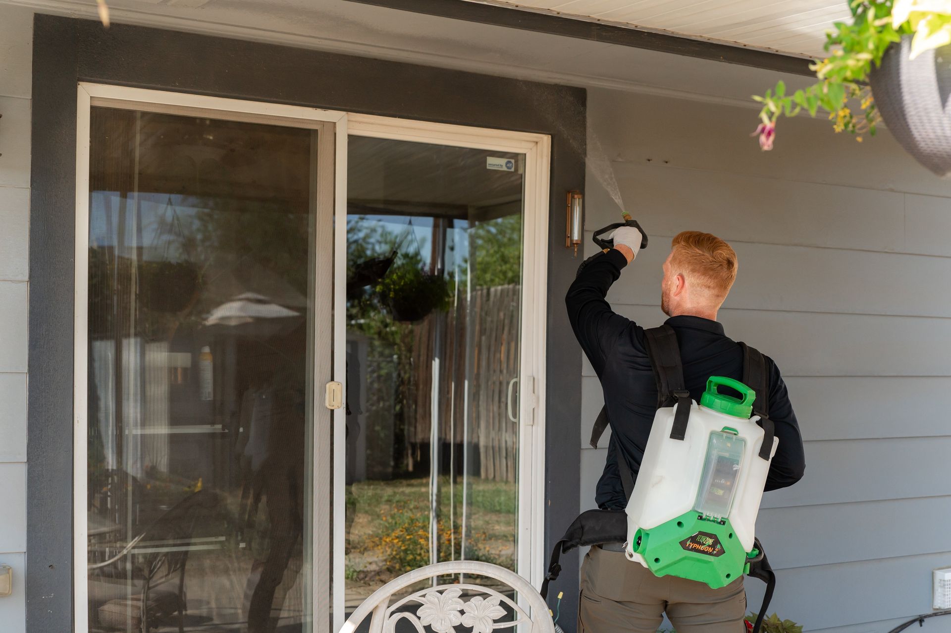 eliminate pests in Kirkland