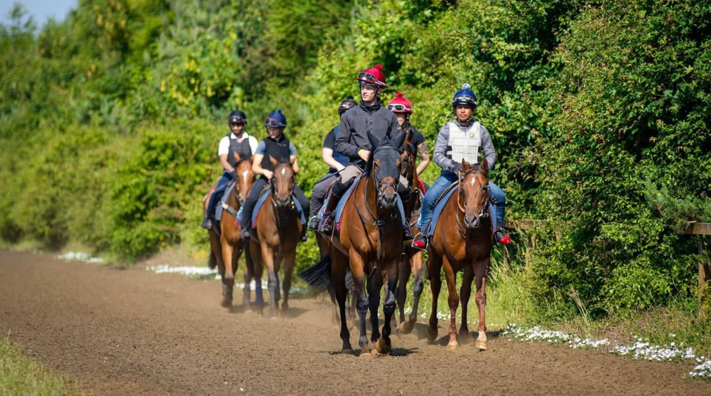Group of people riding horses on a dirt path next to lush green trees.
