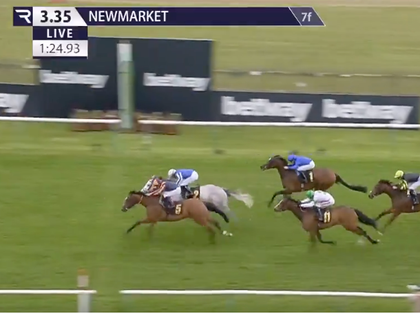 Bay horse wearing a Union Jack blanket with race sponsor logos on grass.