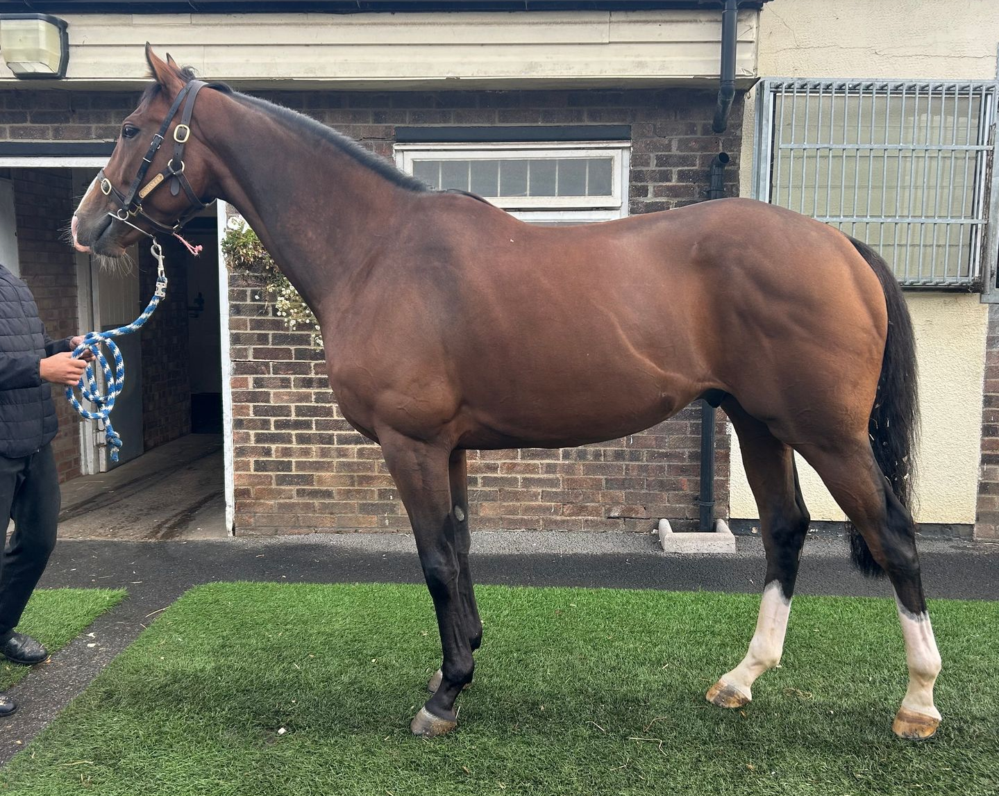 A Dior scarf with a red and white logo laying on a dark leather bag.