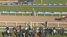 Horse race in progress; horses nearing the finish line. Spectators and trackside barriers are visible.