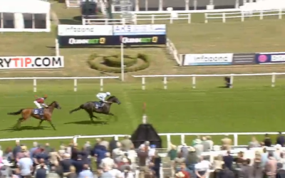 Horse race: a horse in blue and white silks leads, approaching finish line, with another horse behind; crowd in stands.