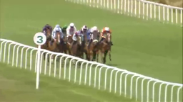 Horses racing on a green track, approaching a numbered marker, riders in colorful silks, sunny day.