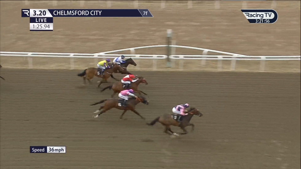 Horses racing at Chelmsford City, brown track, jockeys in colored silks, finishing a race.