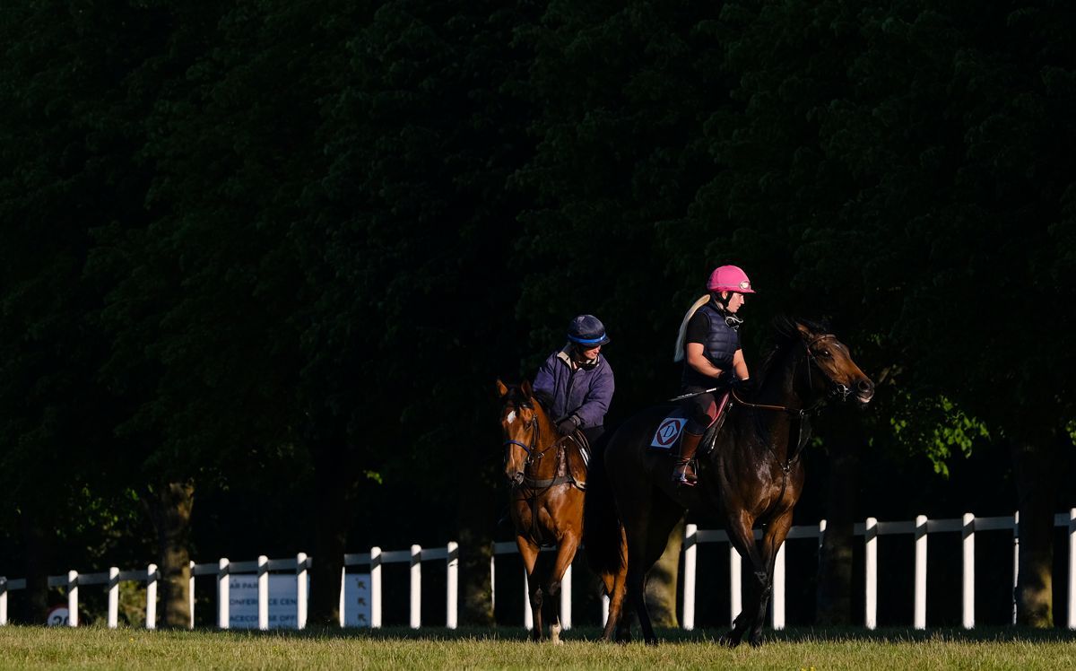 Two people on horseback on a grassy field with white picket fence. One rider wears pink helmet.